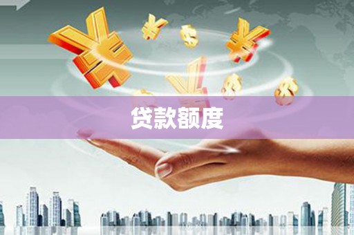 线西贷款额度