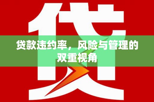 线西贷款违约率，风险与管理的双重视角