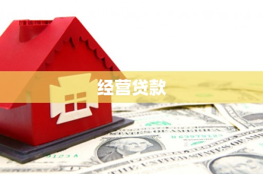 线西经营贷款