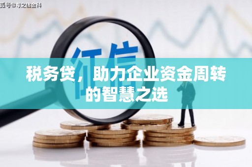 线西税务贷，助力企业资金周转的智慧之选