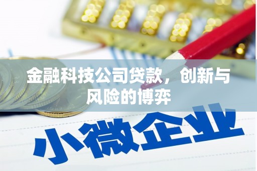 线西金融科技公司贷款，创新与风险的博弈