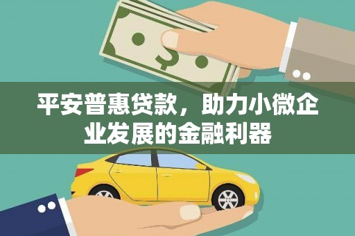 线西平安普惠贷款，助力小微企业发展的金融利器