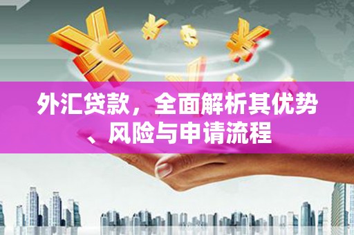 线西外汇贷款，全面解析其优势、风险与申请流程