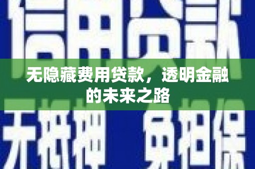 线西无隐藏费用贷款，透明金融的未来之路
