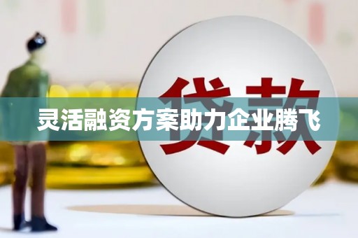 线西灵活融资方案助力企业腾飞