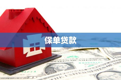 线西保单贷款