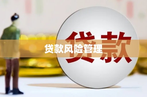 线西贷款风险管理