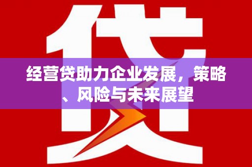 线西经营贷助力企业发展，策略、风险与未来展望