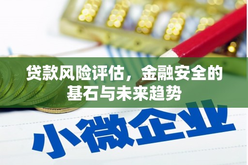 线西贷款风险评估，金融安全的基石与未来趋势
