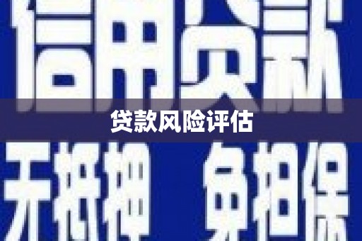 线西贷款风险评估