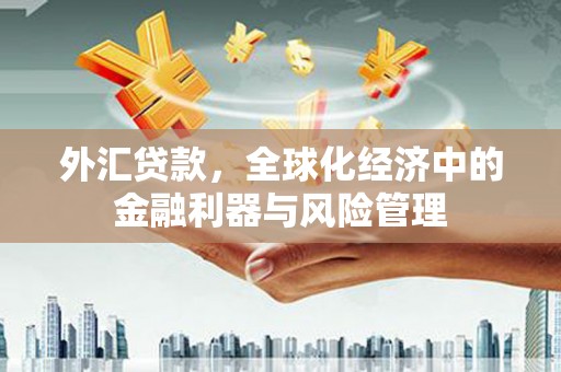 线西外汇贷款，全球化经济中的金融利器与风险管理