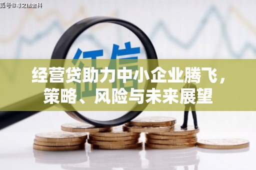 线西经营贷助力中小企业腾飞，策略、风险与未来展望
