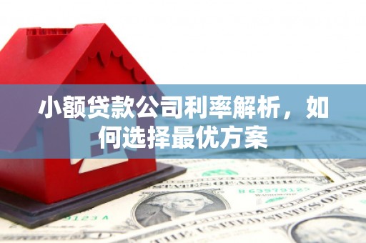 线西小额贷款公司利率解析，如何选择最优方案