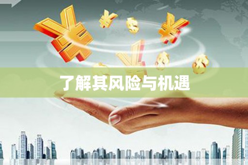 线西了解其风险与机遇