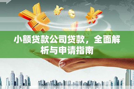 线西小额贷款公司贷款，全面解析与申请指南