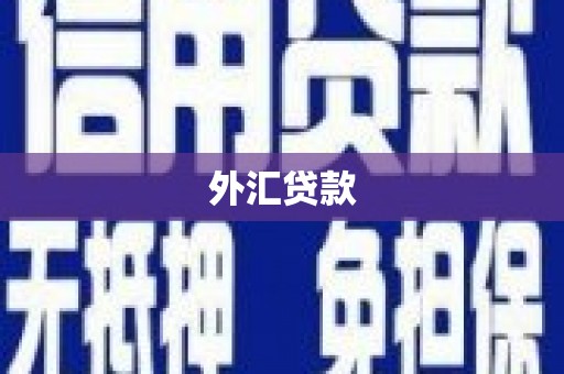线西外汇贷款