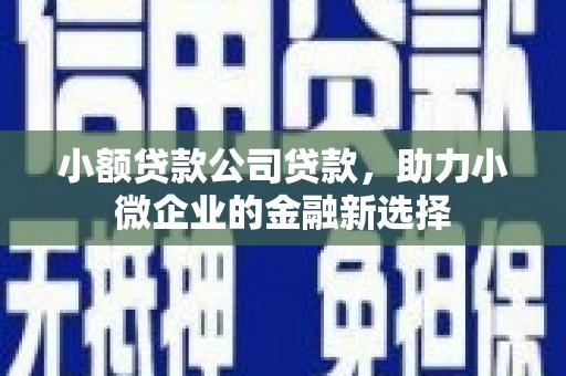 线西小额贷款公司贷款，助力小微企业的金融新选择