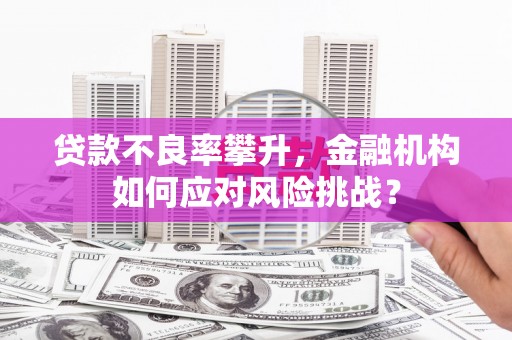 线西贷款不良率攀升，金融机构如何应对风险挑战？