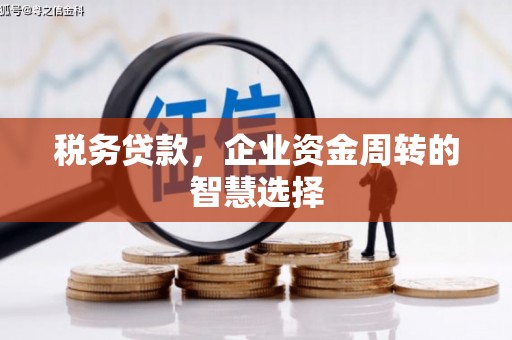 线西税务贷款，企业资金周转的智慧选择