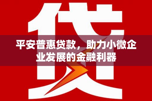 线西平安普惠贷款，助力小微企业发展的金融利器