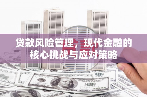 线西贷款风险管理，现代金融的核心挑战与应对策略