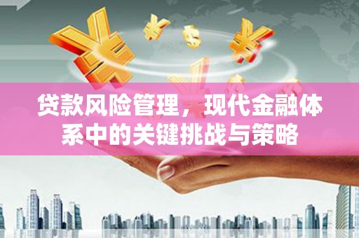线西贷款风险管理，现代金融体系中的关键挑战与策略