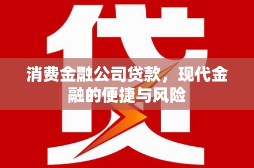 线西消费金融公司贷款，现代金融的便捷与风险