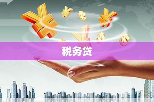 线西税务贷