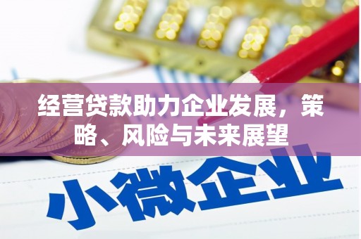 线西经营贷款助力企业发展，策略、风险与未来展望