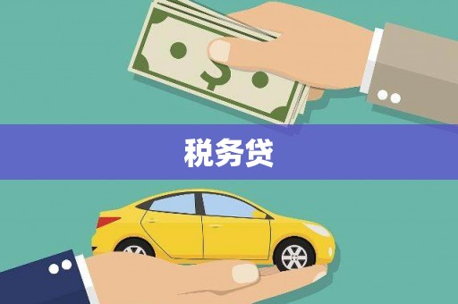 线西税务贷