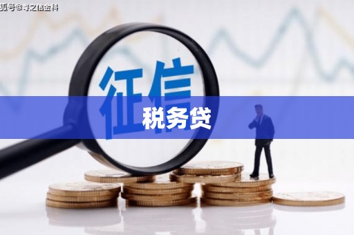 线西税务贷