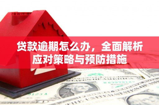 线西贷款逾期怎么办，全面解析应对策略与预防措施