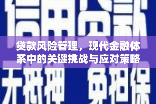 线西贷款风险管理，现代金融体系中的关键挑战与应对策略
