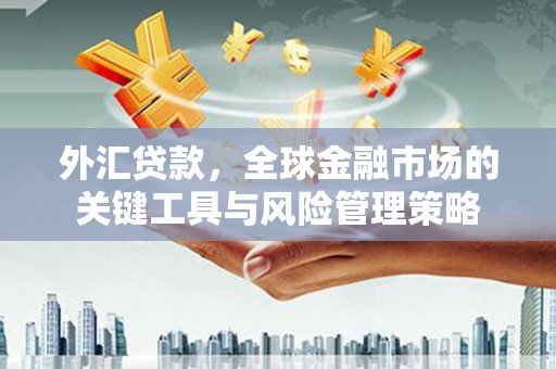 线西外汇贷款，全球金融市场的关键工具与风险管理策略