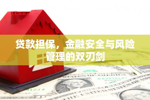 线西贷款担保，金融安全与风险管理的双刃剑