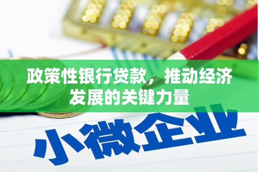 线西政策性银行贷款，推动经济发展的关键力量