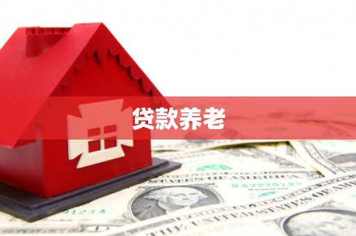 线西贷款养老