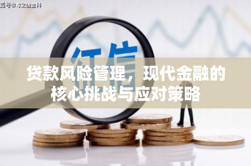 线西贷款风险管理，现代金融的核心挑战与应对策略