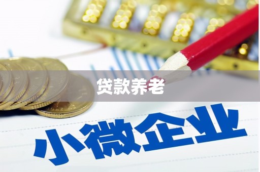 线西贷款养老