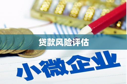 线西贷款风险评估