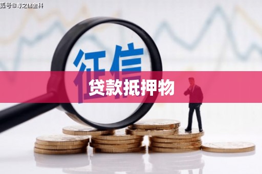 线西贷款抵押物