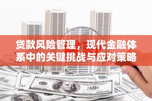 线西贷款风险管理，现代金融体系中的关键挑战与应对策略