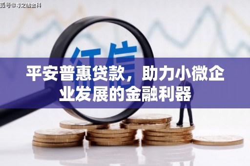 线西平安普惠贷款，助力小微企业发展的金融利器
