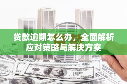 线西贷款逾期怎么办，全面解析应对策略与解决方案