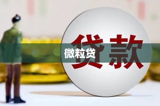 线西微粒贷