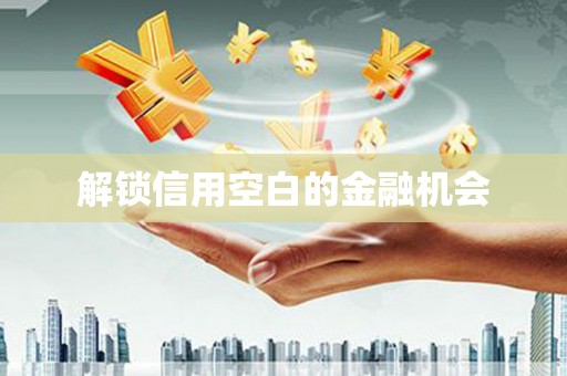 线西解锁信用空白的金融机会