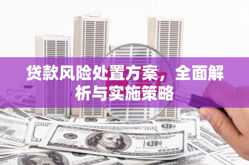 线西贷款风险处置方案，全面解析与实施策略