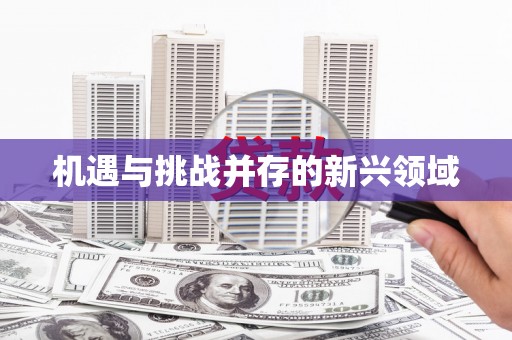 线西机遇与挑战并存的新兴领域
