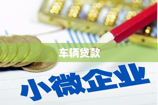 线西车辆贷款