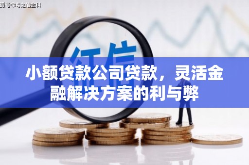线西小额贷款公司贷款，灵活金融解决方案的利与弊